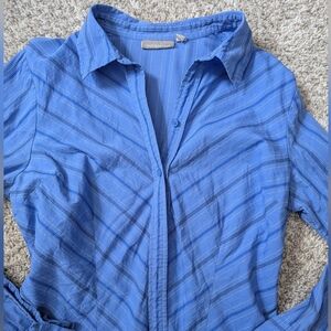 Fitted blue stripe button up